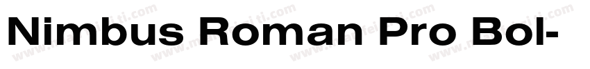 Nimbus Roman Pro Bol字体转换